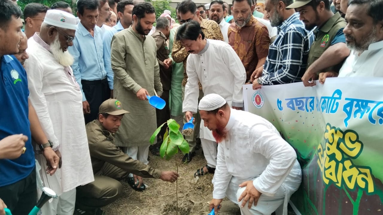 লালমোহনে জাতীয় বৃক্ষরোপণ কর্মসূচির উদ্বোধন