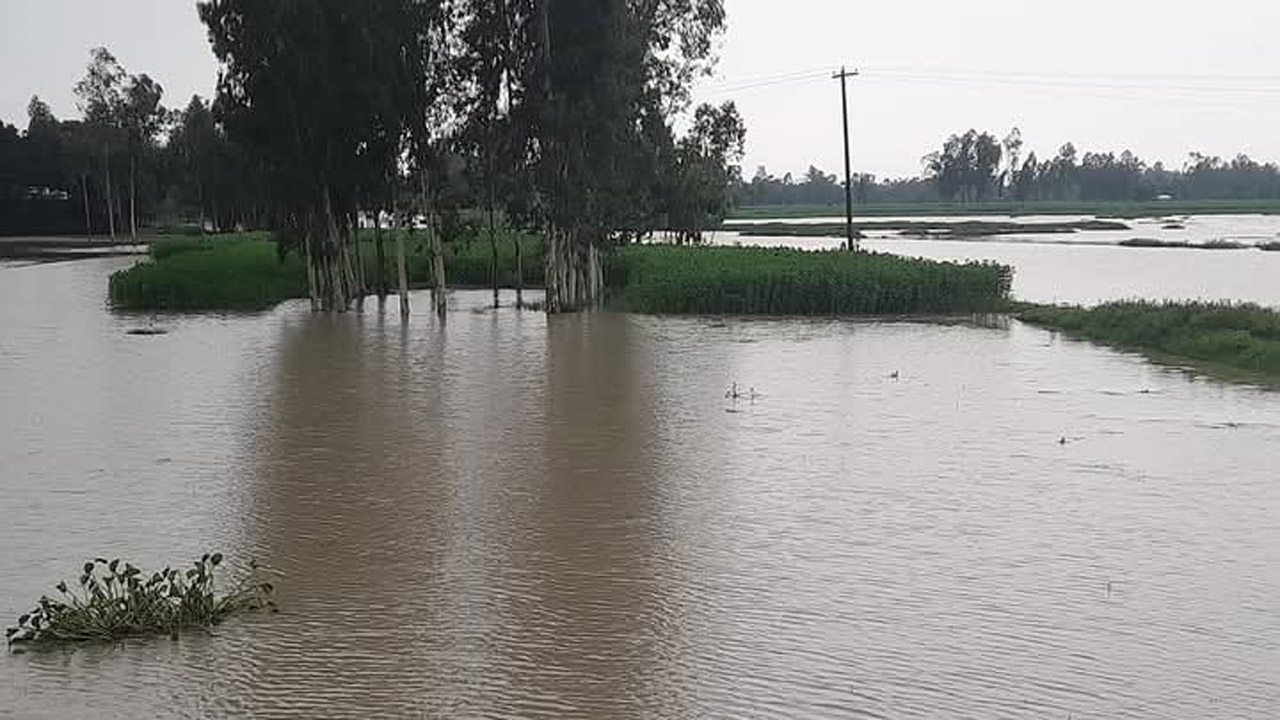 তিস্তার পানি বাড়ছে, লালমনিরহাটে বড় বন্যার আশঙ্কা