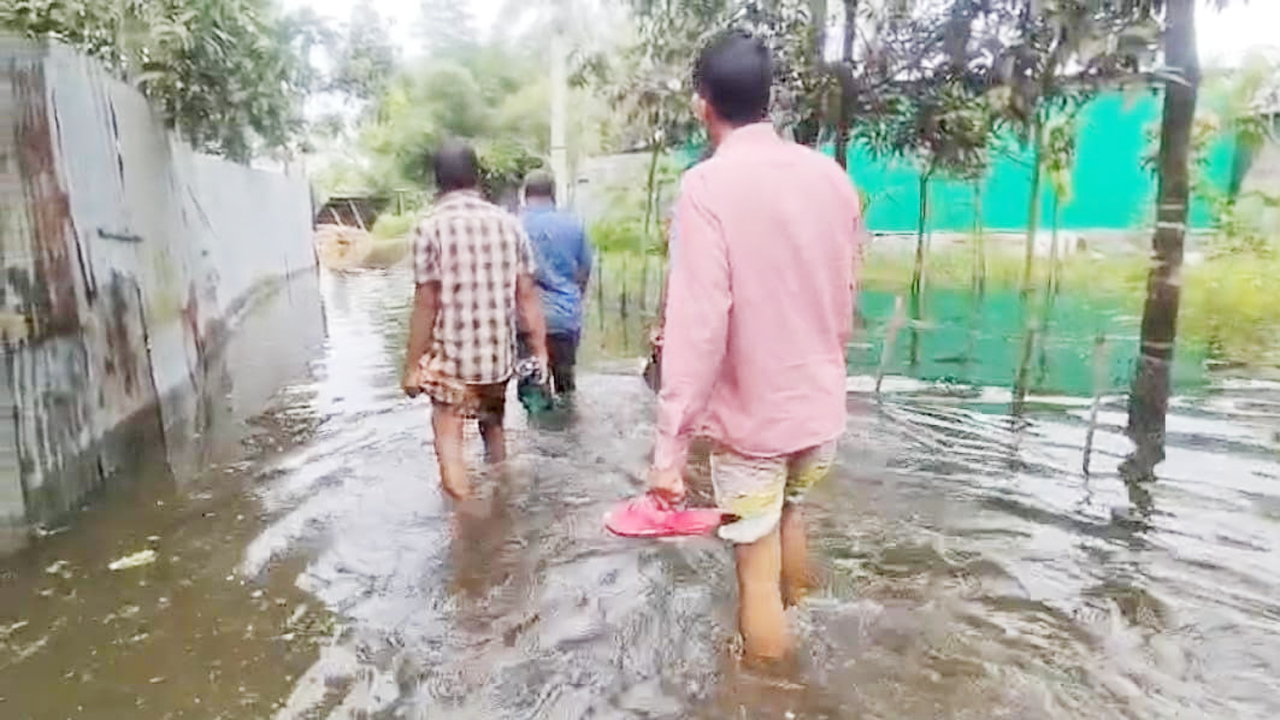তিস্তাপাড়ের নিম্নাঞ্চলে পানিবন্দী হাজারো মানুষ
