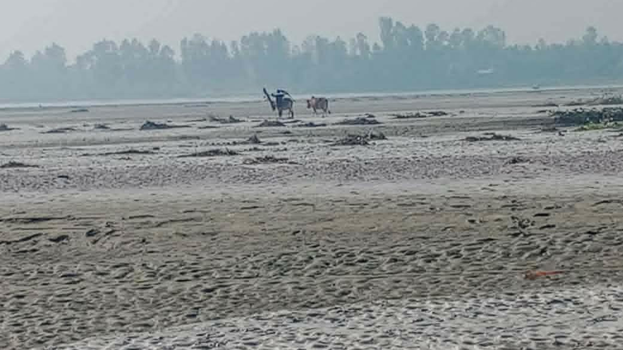 তিস্তার বুকে হালচাষ