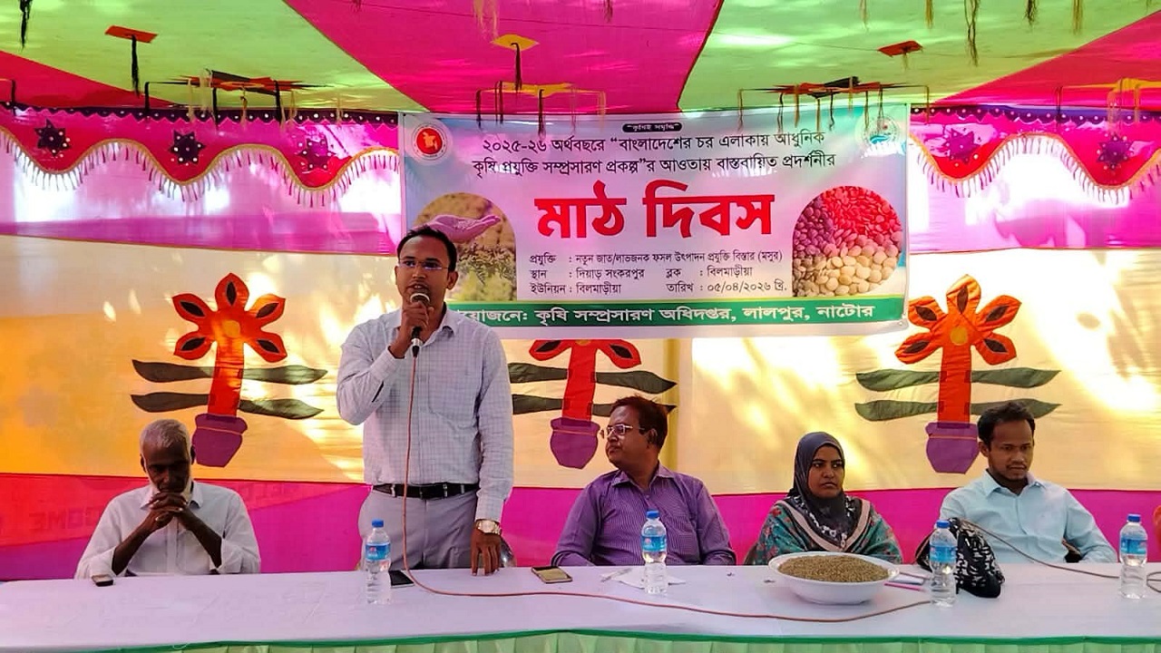 লালপুরে পদ্মার চর অঞ্চলে মাঠ দিবস পালন