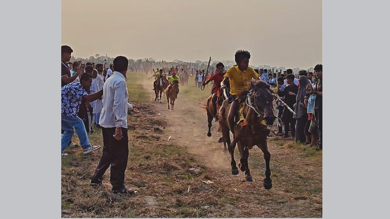 লোহাগড়ায় ঘোড়দৌড় প্রতিযোগিতায় হাজারো মানুষের ঢল