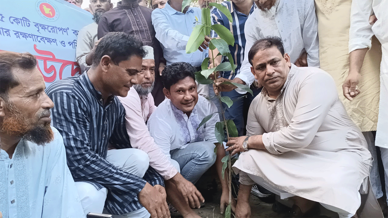 বৃক্ষরোপন করছেন এমপি খোকন তালুকদার