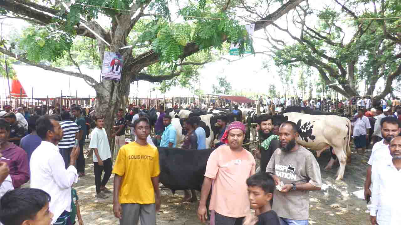 কোরবানির হাট