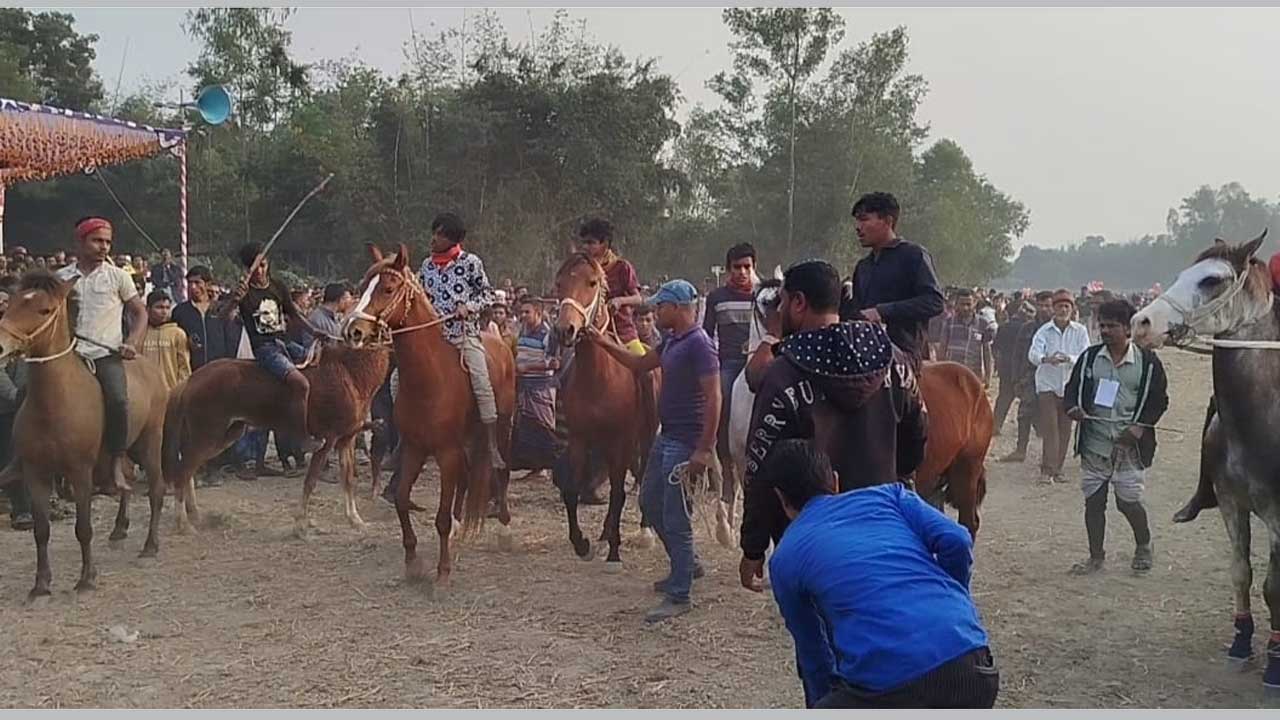মধুপুরের ভবানীটেকী এলাকায় অনুষ্ঠিত হয় ঘৌড়দৌড় প্রতিযোগিতা