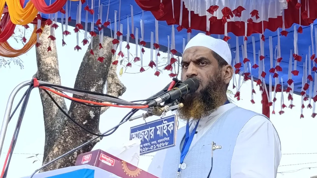 বাংলাদেশ খেলাফত মজলিসের আমির মাওলানা মামুনুল হক