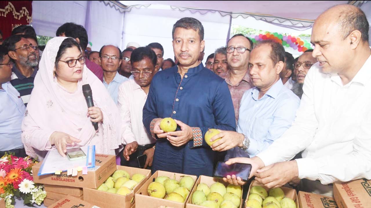 হর্টেক্স-পার্টনার প্রকল্পের জিএপি-সনদপ্রাপ্ত আমের বিপণন শুরু