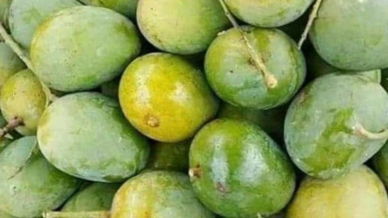বাজারে আসতে শুরু করেছে জনপ্রিয় আম ‘হিমসাগর’