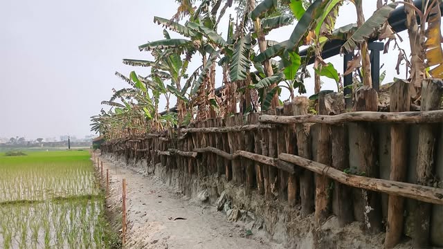 ড্রেনেজ ব্যবস্থার নির্মাণ