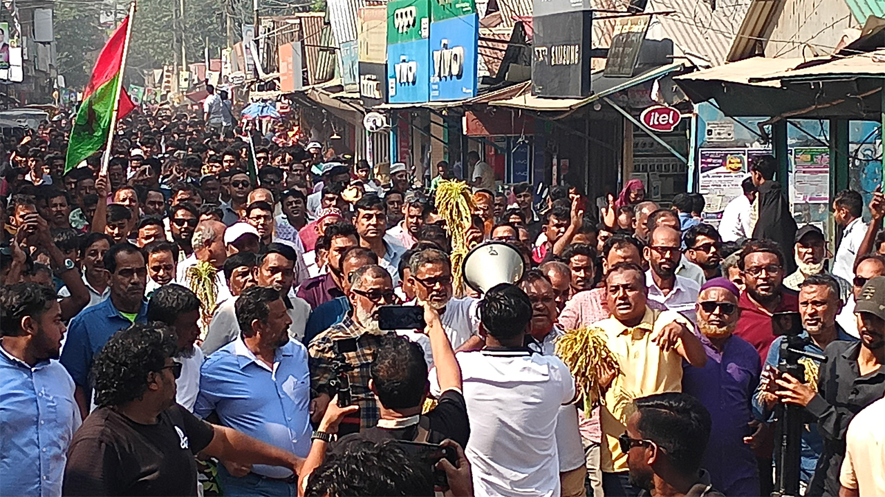 জাতীয় বিপ্লব ও সংহতি দিবসের র‍্যালি।