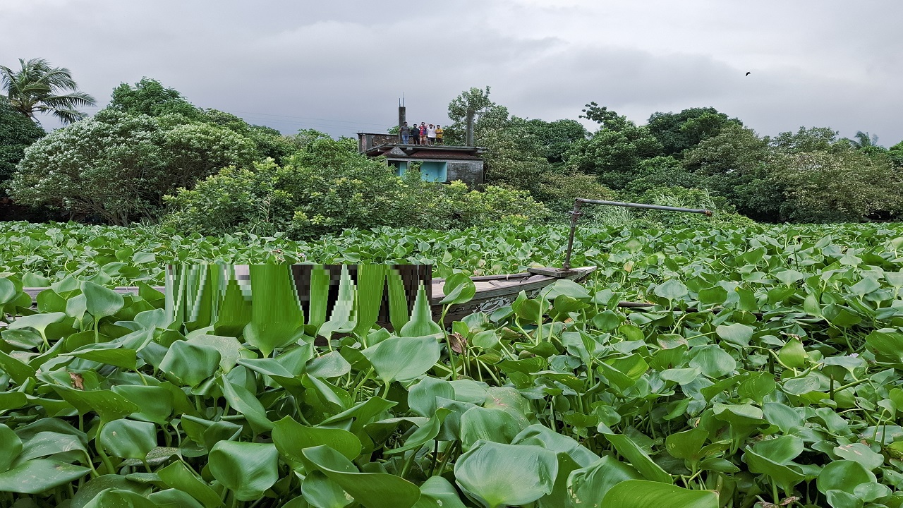 গজারিয়ার স্যুটার মান্নান প্রতিপক্ষের গুলিতে নিহত, আহত ৬