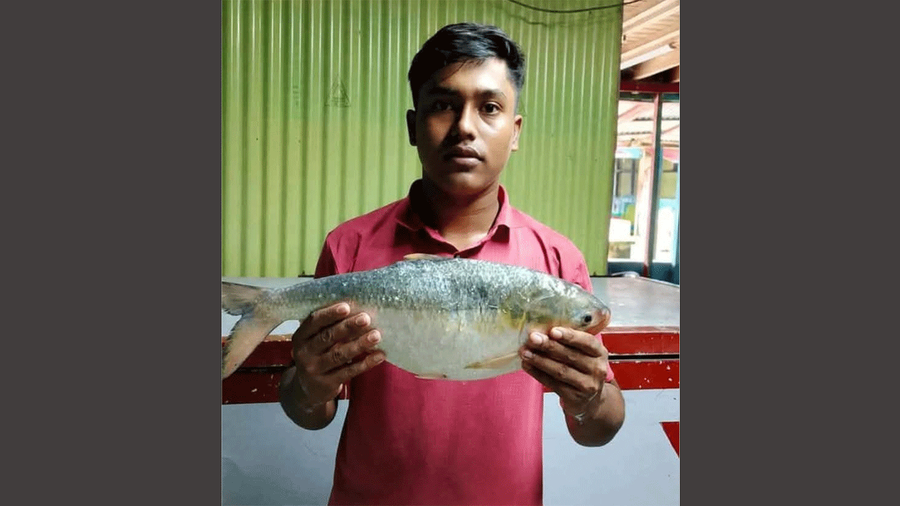 দুই কেজি ওজনের ইলিশ