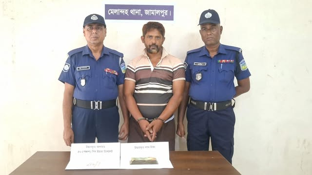 ইয়াবাসহ গ্রেফতার মাদককারবারি