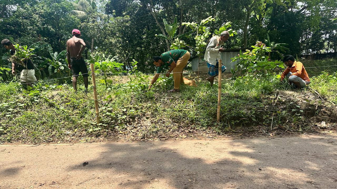 মিরসরাইয়ে কৃষকদলের উদ্যোগে বৃক্ষরোপণ কর্মসূচি