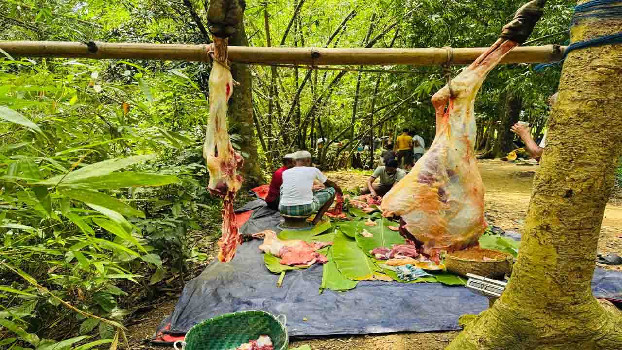 কোরবানির গোশত