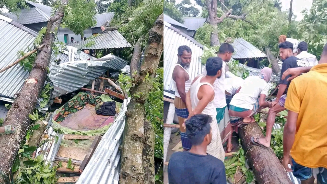 কালবৈশাখী ঝড়ে গাছচাপায় মা-দুই মেয়ের মৃত্যু