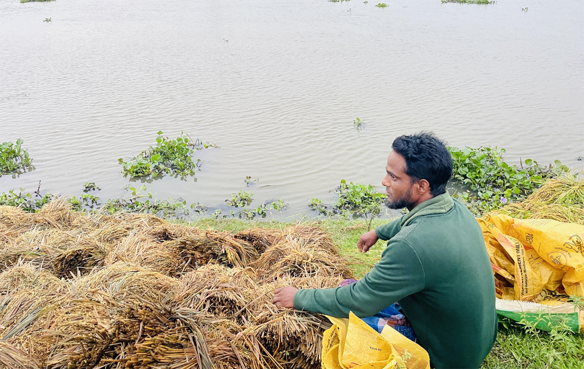 হাওরপাড়ে ক্ষতিগ্রস্ত কৃষক হান্নান মিয়া