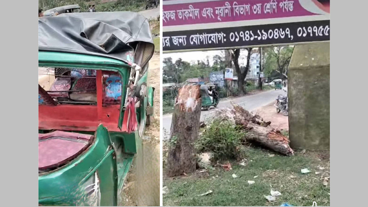 দুর্ঘটনাকবলিত সিএনজিচালিত অটোরিকশা, (ডানে) ভাঙা মরা গাছ