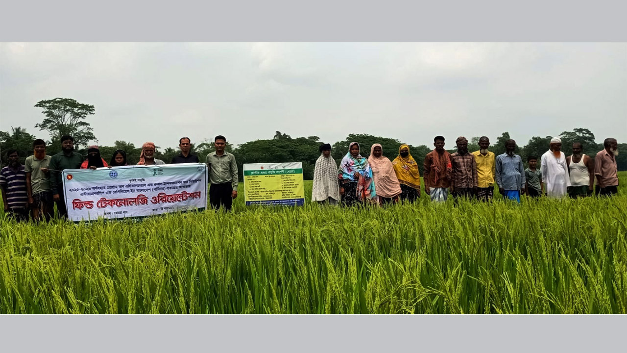 মুলাদীতে কৃষি ক্ষেত্রে নতুন সংযোজন ব্রি ধান ১০২
