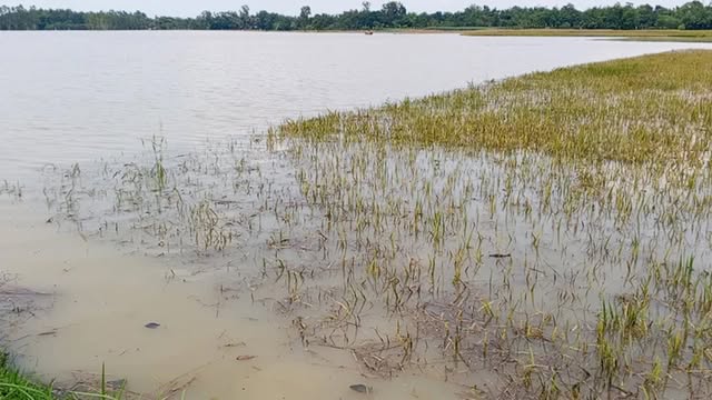 পাহাড়ি ঢল
