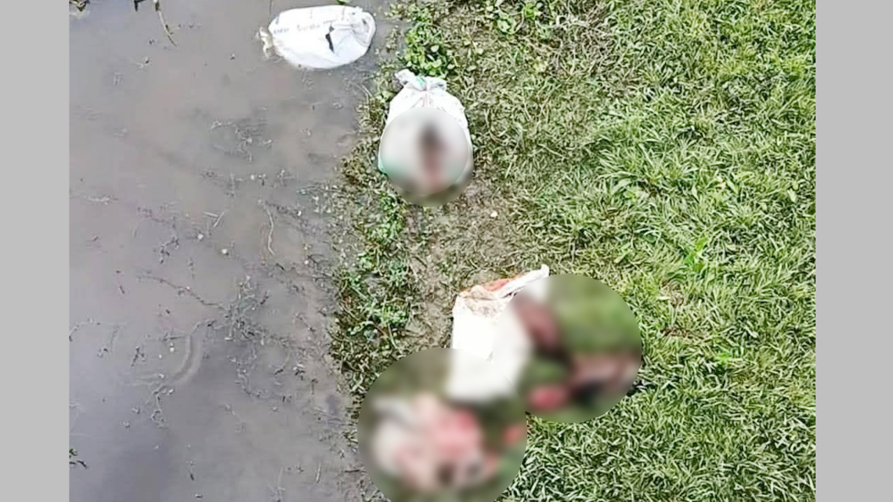 বস্তাবন্দী ঘোড়ার চামড়া-পা-মাথা