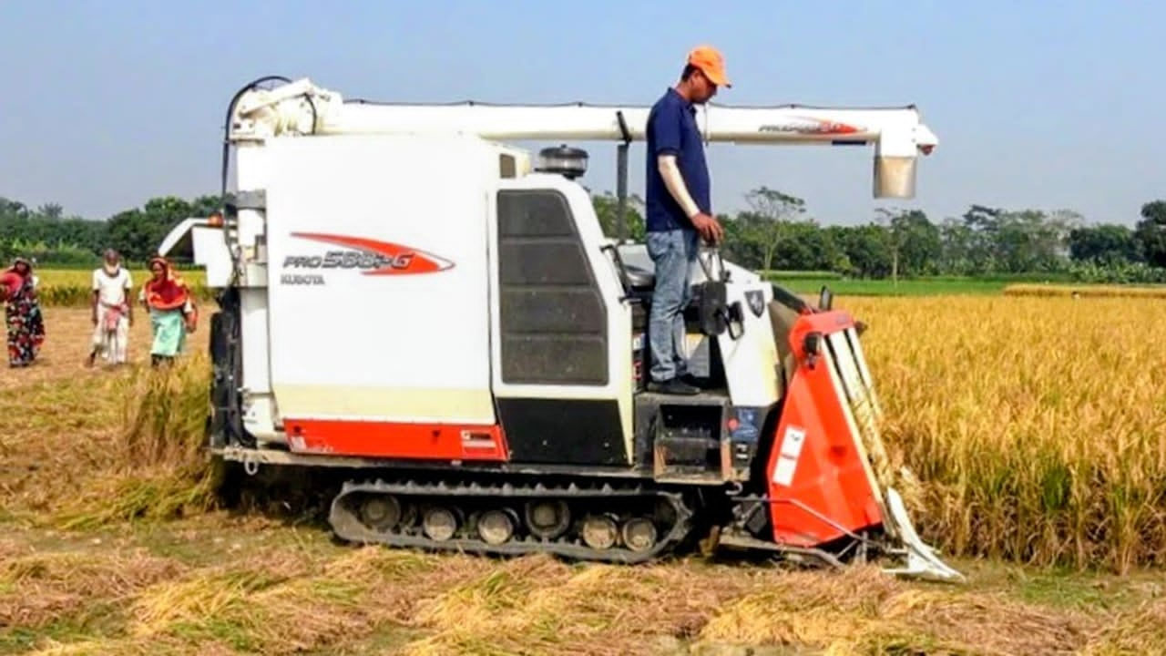 ডিজেল সঙ্কটে ধানকাটা কার্যক্রমে স্থবিরতা