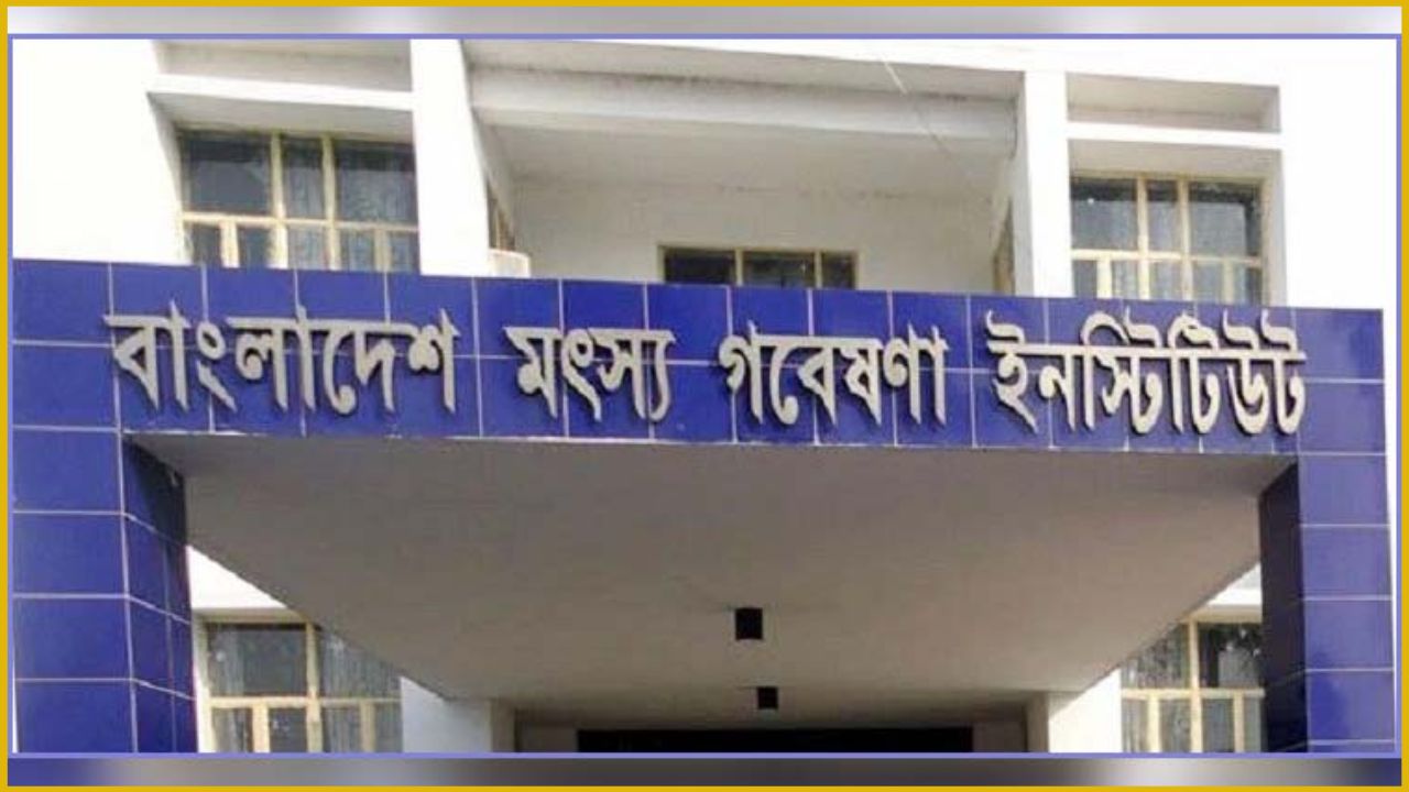 দেশের বিপন্ন প্রজাতির মাছ সংরক্ষণে ‘লাইভ জিন ব্যাংক’ স্থাপন