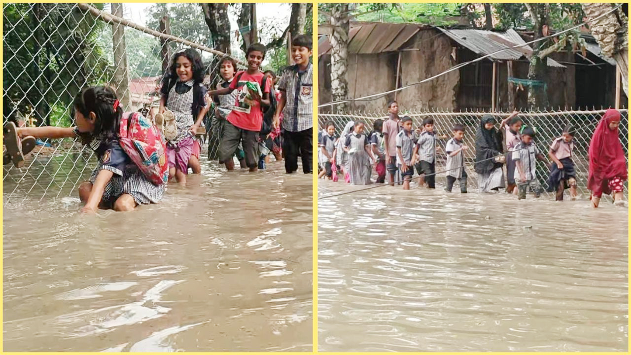হাঁটু পানি মাড়িয়ে স্কুলে যাচ্ছে ছোট্ট শিশুরা