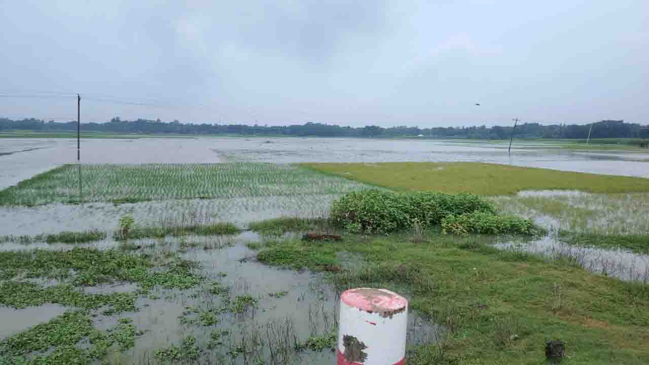 পানিতে তলিয়ে যাওয়া ফসলের জমি