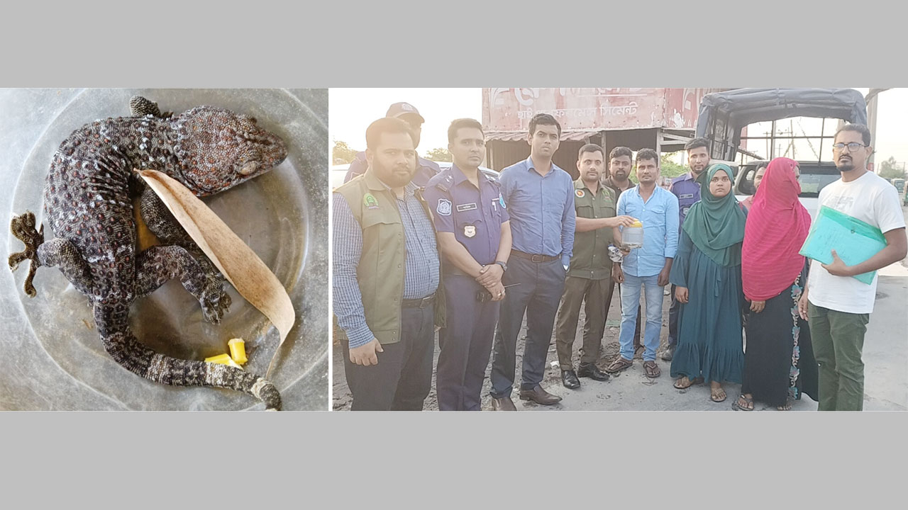 উদ্ধারকৃত বিলুপ্তপ্রায় বন্যপ্রাণী ‘তক্ষক’, (ডানে) আটক দু’জন