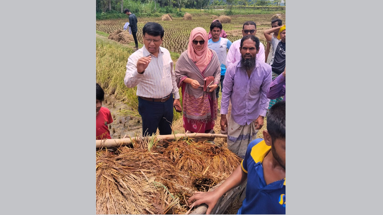 ক্ষতিগ্রস্ত জমি পরিদর্শনে কৃষি বিভাগের কর্মকর্তারা