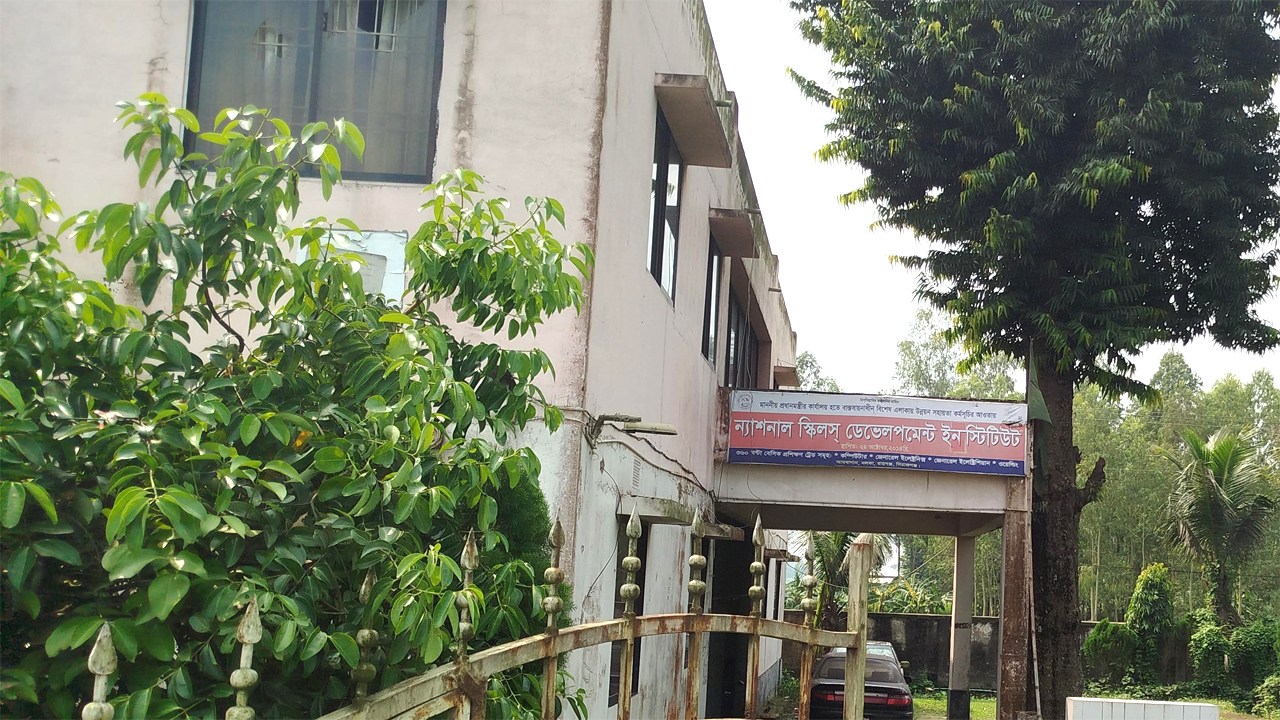 ন্যাশনাল স্কিলস ইনস্টিটিউট