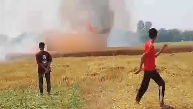 গমের ক্ষেতে আগুন