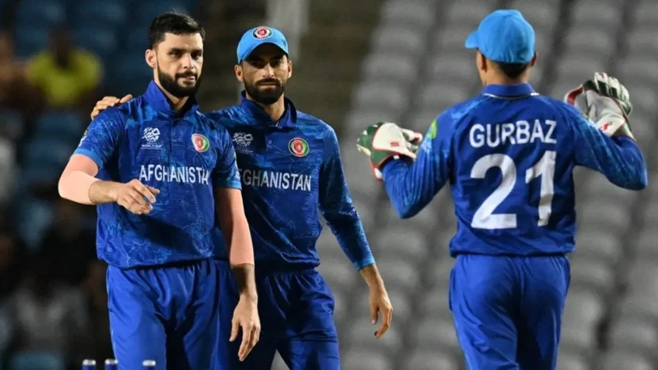ভারত সিরিজে আফগানিস্তান দলে ফিরেছেন নাভিন