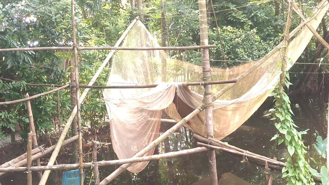 খালবিলে অবৈধ জাল দিয়ে মাছ শিকার