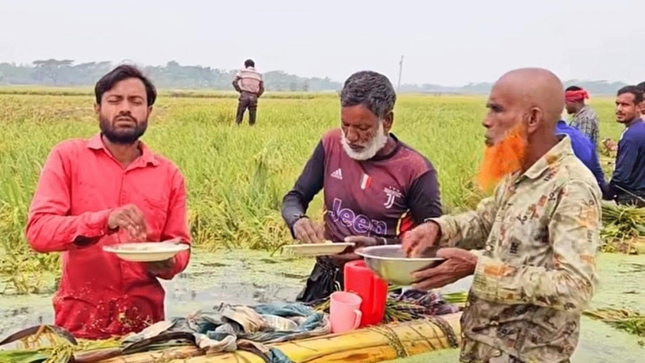 হাওরের পানিতে কৃষক