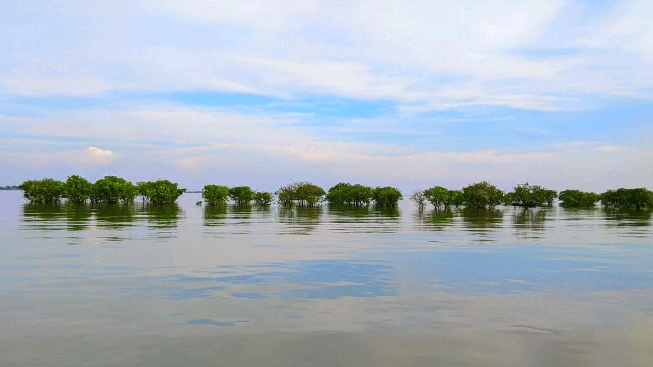 ডিঙ্গাপোতা হাওর