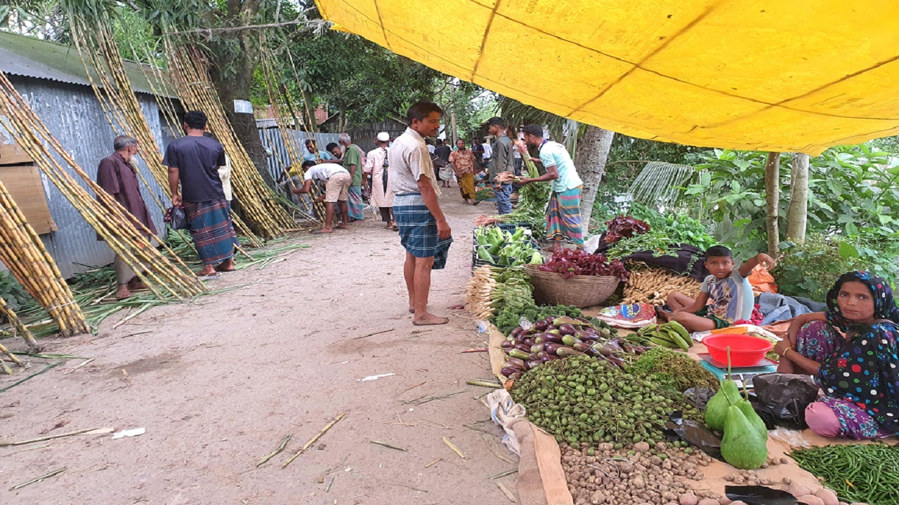হাওরাঞ্চলে শাক-সবজি ও আহরিত মাছ পর্যাপ্ত, তবুও কমছে না দাম