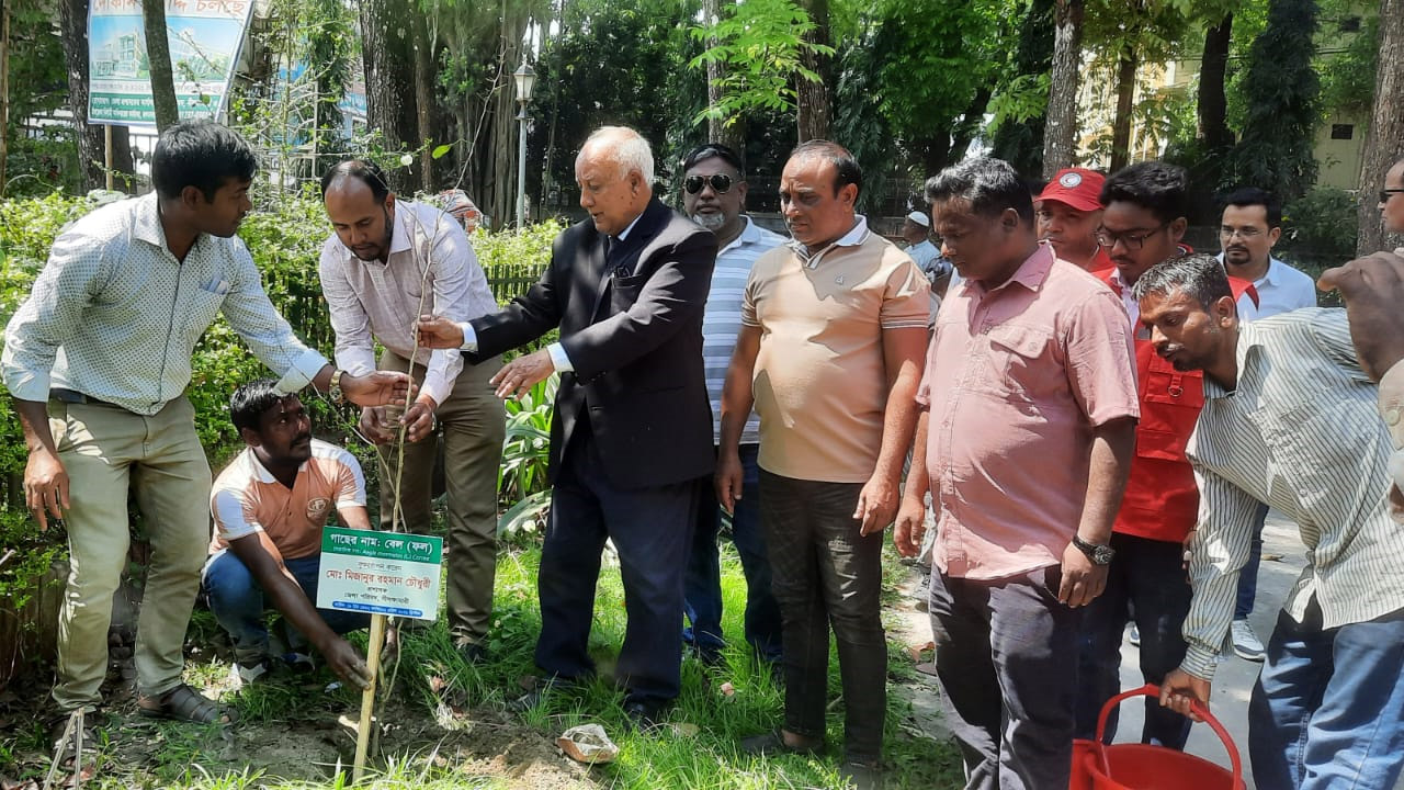 নীলফামারী জেলা পরিষদের বৃক্ষরোপণ কর্মসূচি শুরু