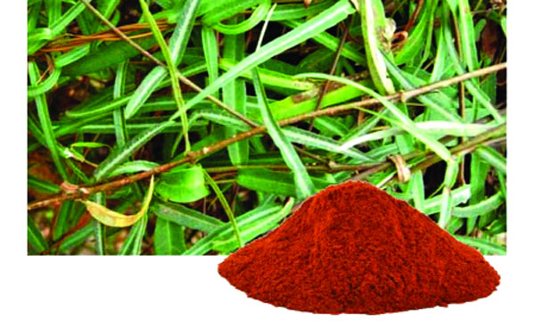 অনন্তমূলের গুণ