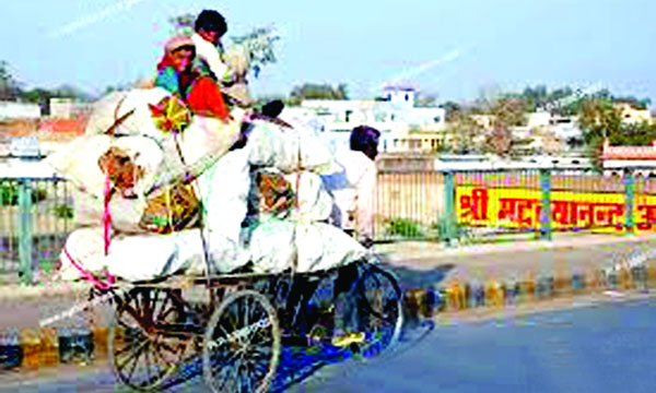 অতিরিক্ত মালবোঝাই ভ্যান