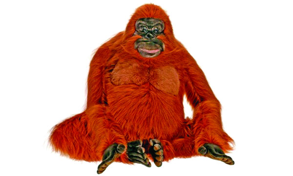 অন্তঃপুরীত প্রাণী-১