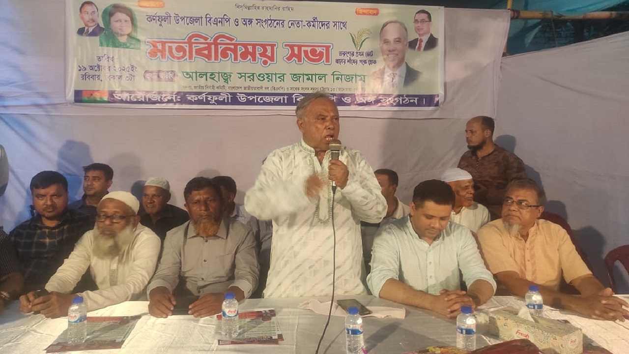 গণতন্ত্রের লড়াইয়ে ঐক্যই আমাদের শক্তি: সরওয়ার জামাল নিজাম