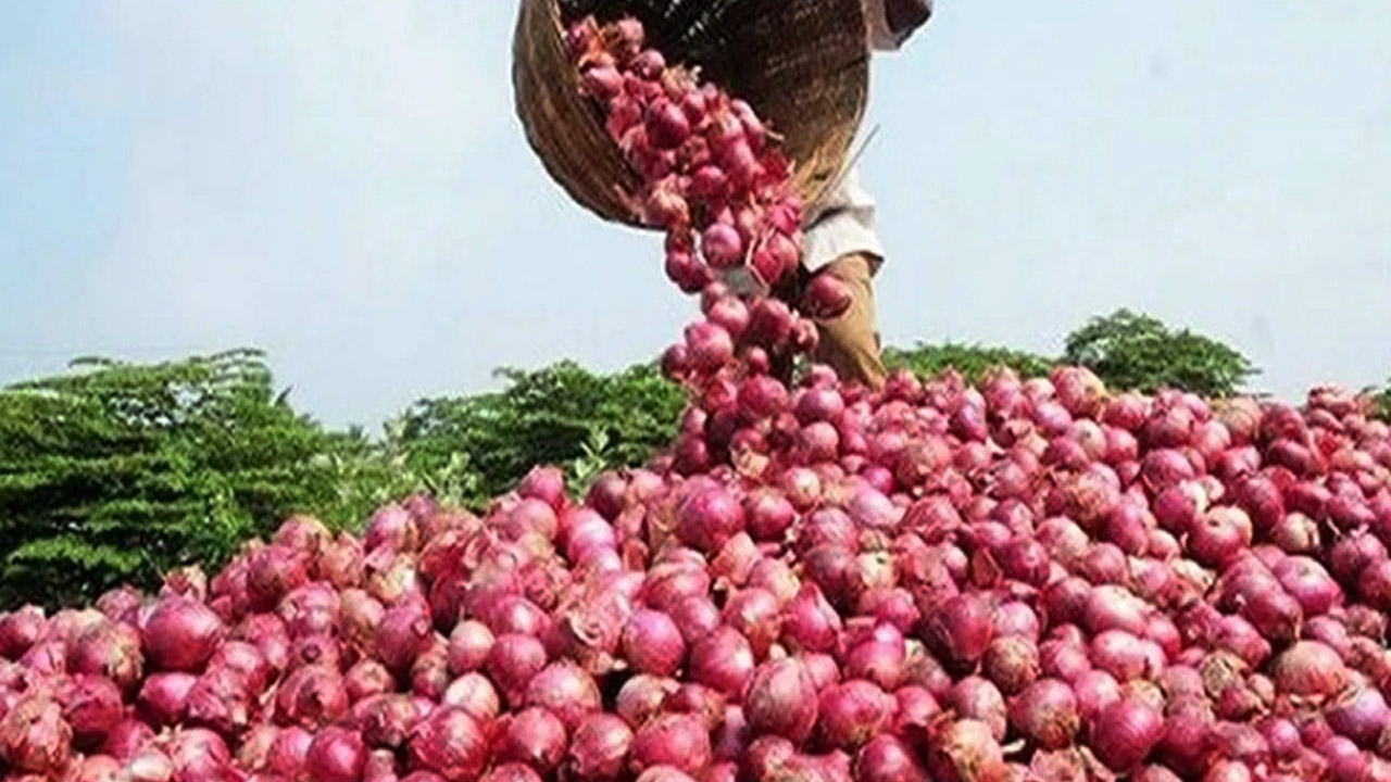 বেনাপোল বন্দর দিয়ে ২১০ মেট্রিক টন পেঁয়াজ আমদানি