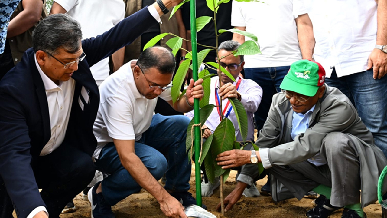 গাছের চারা রোপণের মধ্য ২৫ কোটি বৃক্ষরোপণ কর্মসূচি উদ্বোধন করছেন প্রধানমন্ত্রী তারেক রহমান