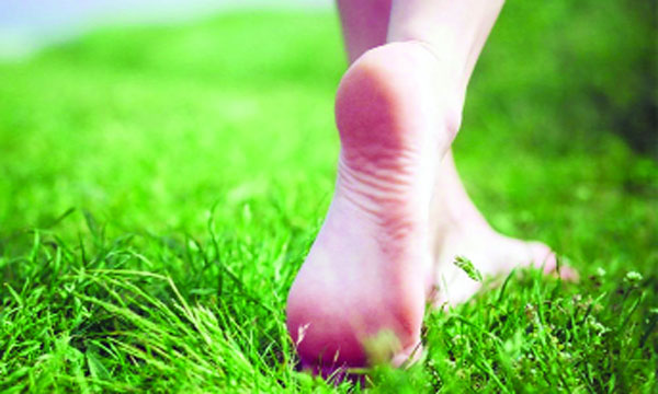 ইট-সিমেন্টের শহরে মাটির খোঁজে