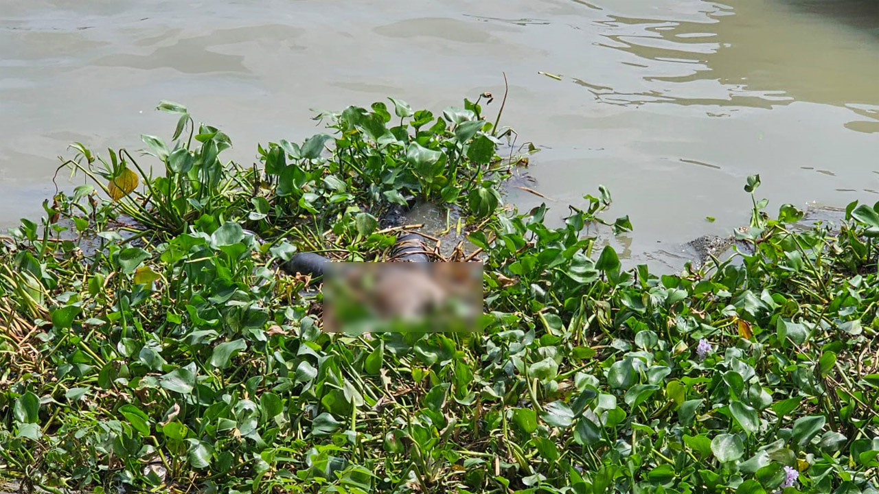 পদ্মা নদীতে ভেসে ওঠা লাশ
