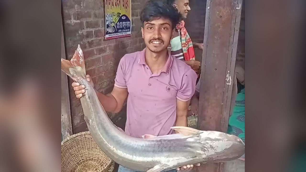 ১৫ কেজি ওজনের ওই পাঙ্গাস হাতে আমিরুল ইসলাম