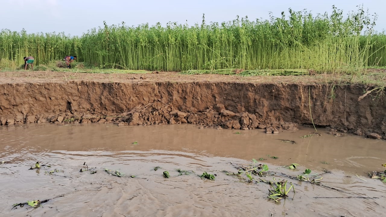 রাজবাড়ীর দেবগ্রামে পদ্মা নদীর ভাঙন শুরু