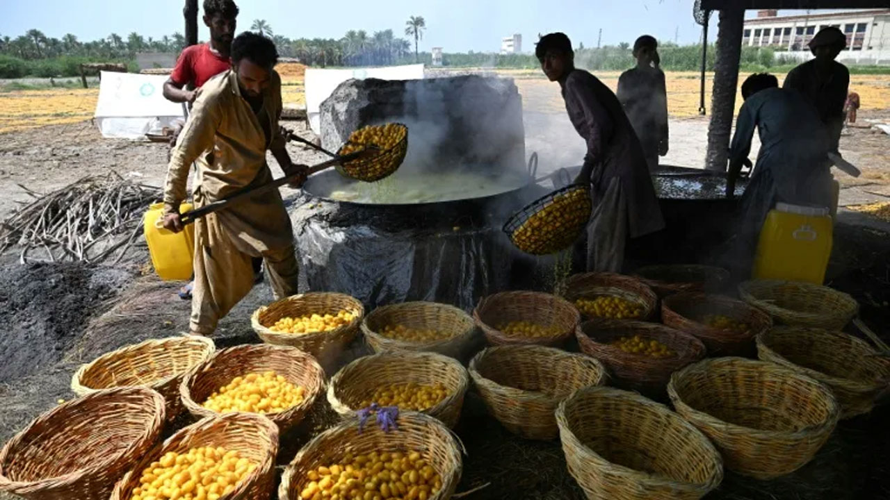 কাজে ব্যস্ত পাকিস্তানের খেজুরচাষিরা